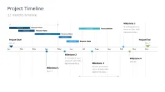 Project Timelines 2024