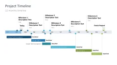 Project Timelines 2024