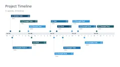 Project Timelines 2024