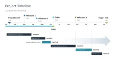 Project Timelines 2024