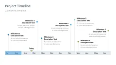 Project Timelines 2024