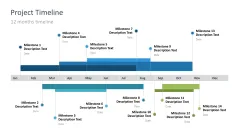 Project Timelines 2024