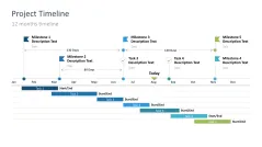 Project Timelines 2024