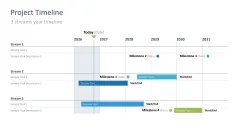 Project Timelines 2024