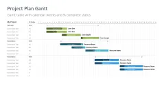Project Timelines 2024