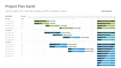 Project Timelines 2024