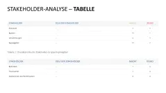 Stakeholder-Analyse 
