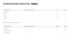 Stakeholder Analysis