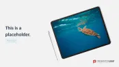 Animated Display Screens