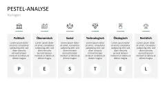 PESTEL-Analyse 
