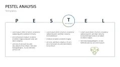 PESTEL Analysis