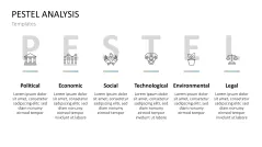 PESTEL Analysis