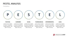 PESTEL Analysis