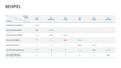 Fehler-Möglichkeits-Einfluss-Analyse (FMEA) 