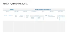 Failure Mode and Effects Analysis (FMEA)