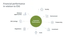 Sustainability Management