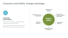 Sustainability Management