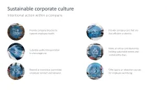 Sustainability Management