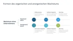Wachstumsstrategien (Skalierung) 