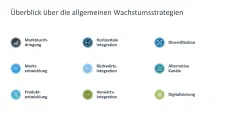 Wachstumsstrategien (Skalierung) 