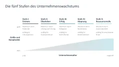 Wachstumsstrategien (Skalierung) 