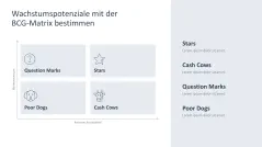 Wachstumsstrategien (Skalierung) 