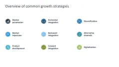 Growth Strategies (Scaling)
