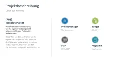 Projektstatusbericht 