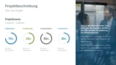 Projektstatusbericht 