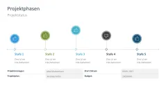 Projektstatusbericht 