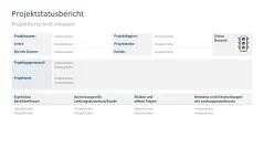 Projektstatusbericht 