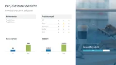 Projektstatusbericht 