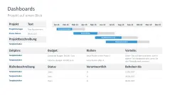 Projektstatusbericht 