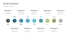 Projektstatusbericht 