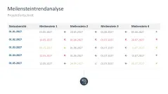 Projektstatusbericht 