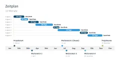 Projektstatusbericht 