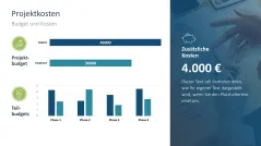 Projektstatusbericht 