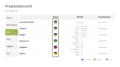 Projektstatusbericht 