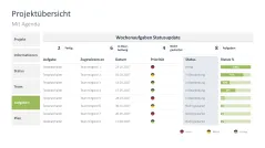 Projektstatusbericht 