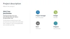 Project Status Report