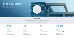 Project Status Report