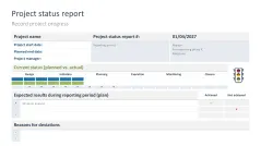 Project Status Report