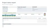 Project Status Report