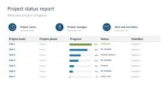 Project Status Report