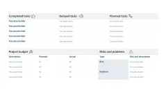 Project Status Report