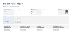 Project Status Report