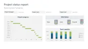 Project Status Report