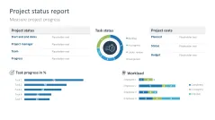 Project Status Report