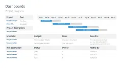 Project Status Report