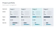 Project Status Report